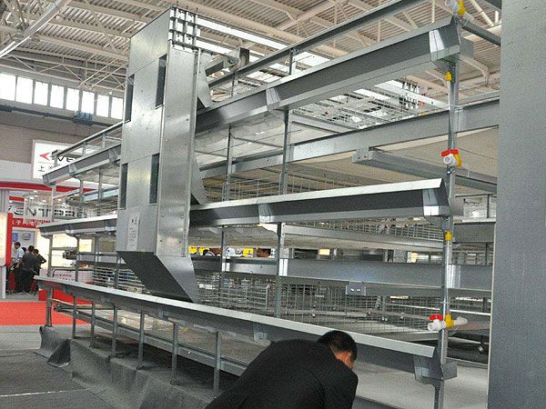 全自動肉雞籠養設備